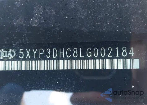 2020 Kia Telluride Ex из США, поврежденный, VIN 5XYP3DHC8LG002184